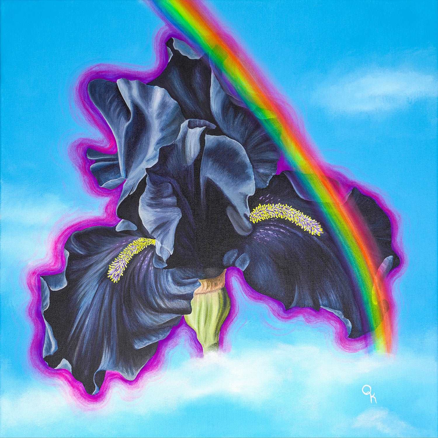 Black Rainbow Original