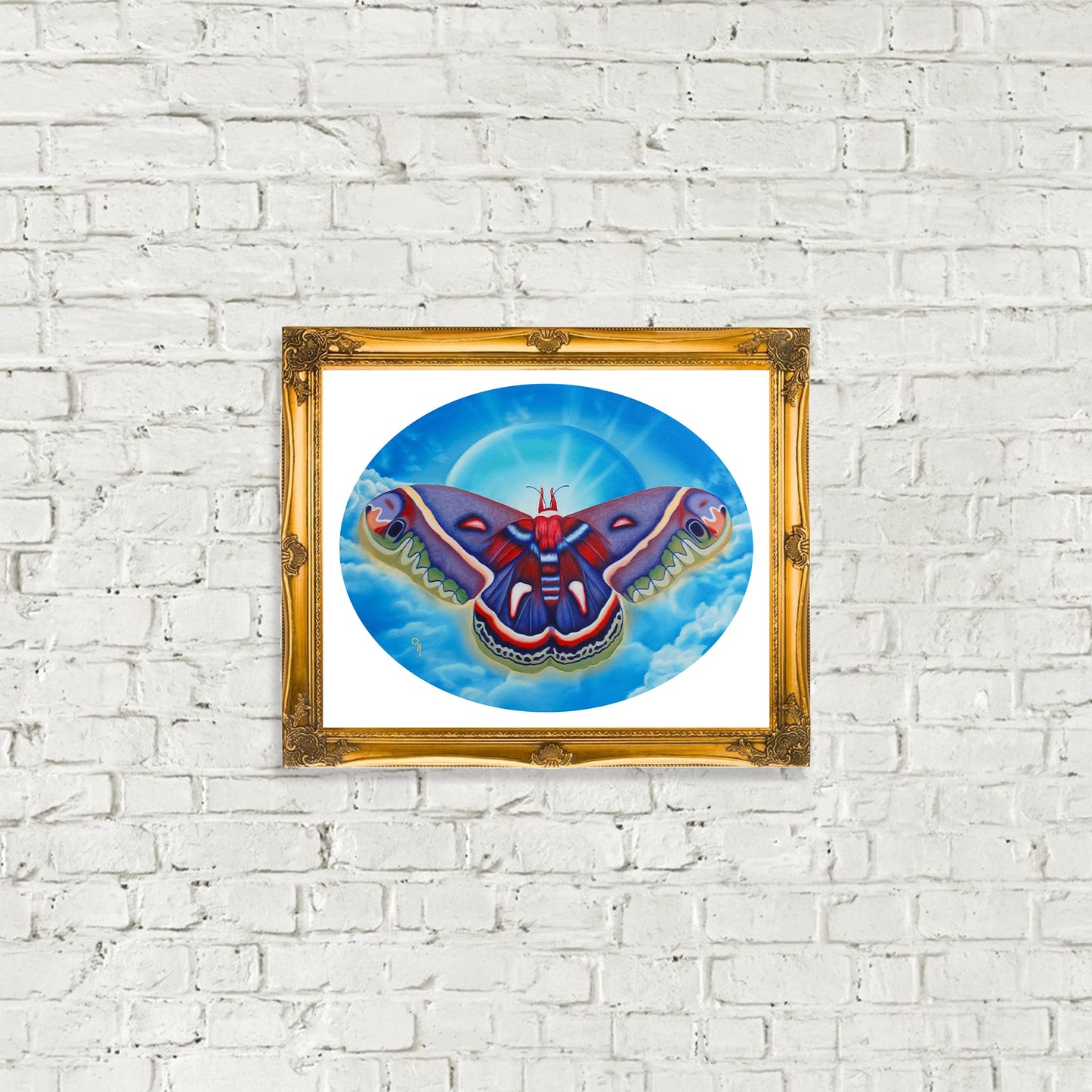 "Cecropia Moth" Print