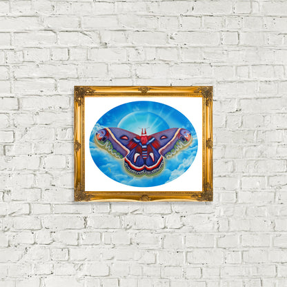 "Cecropia Moth" Print