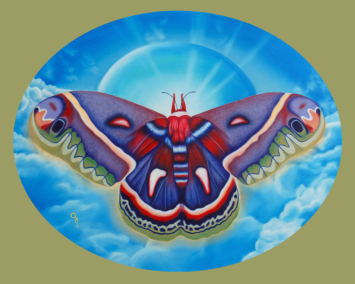 "Cecropia Moth" Print