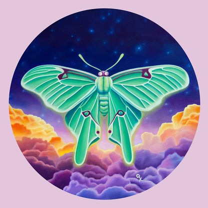 "Luna Moth" Print