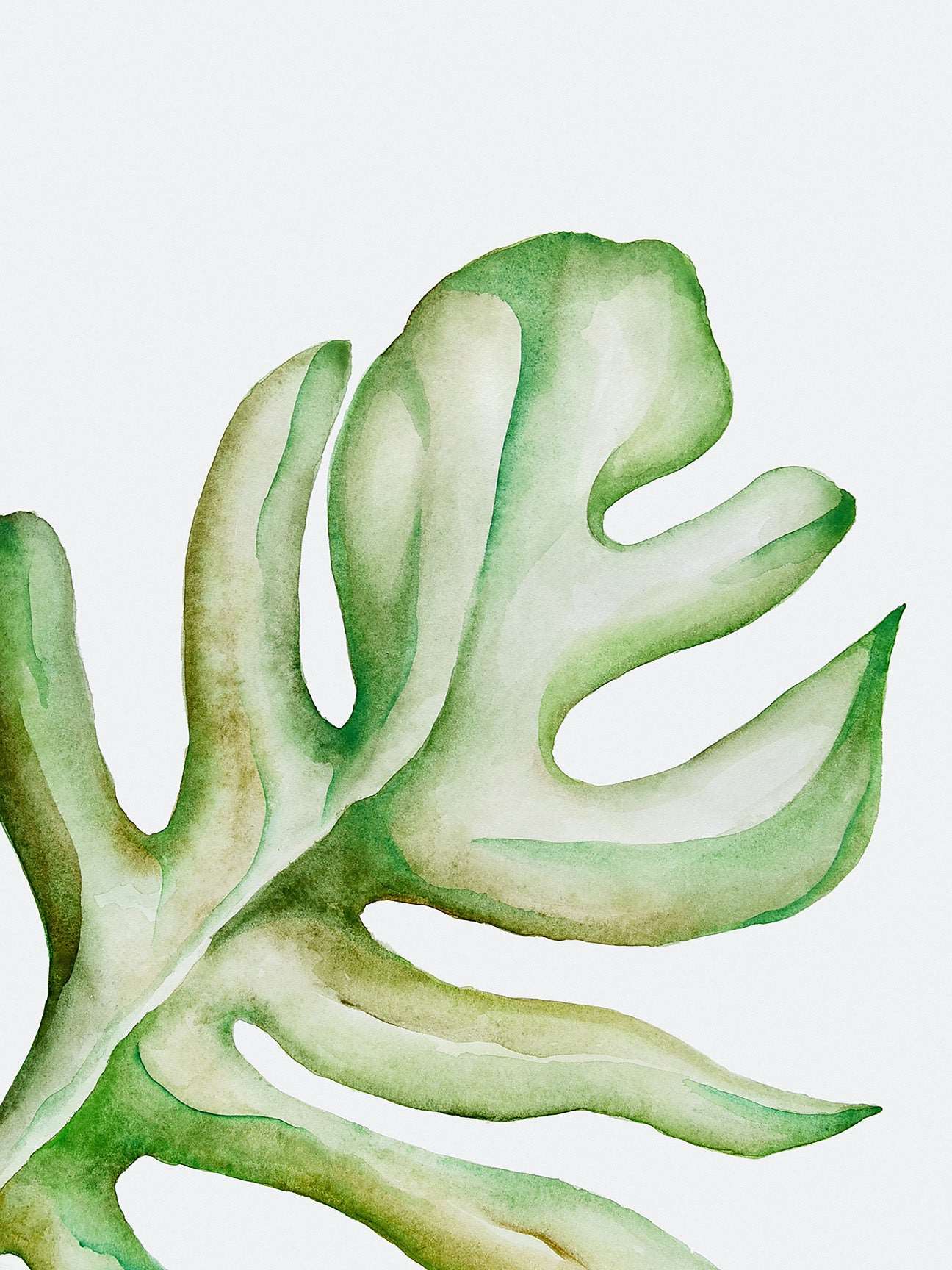 Watercolor Plant Series